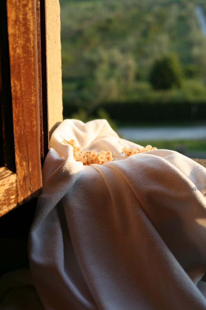 White currants, bedroom window, Villa Rospigliosi
